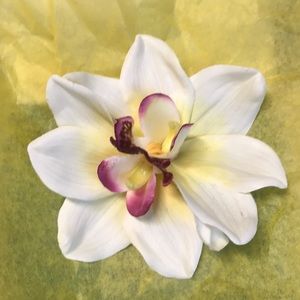 Beautiful Hair Orchid Flower